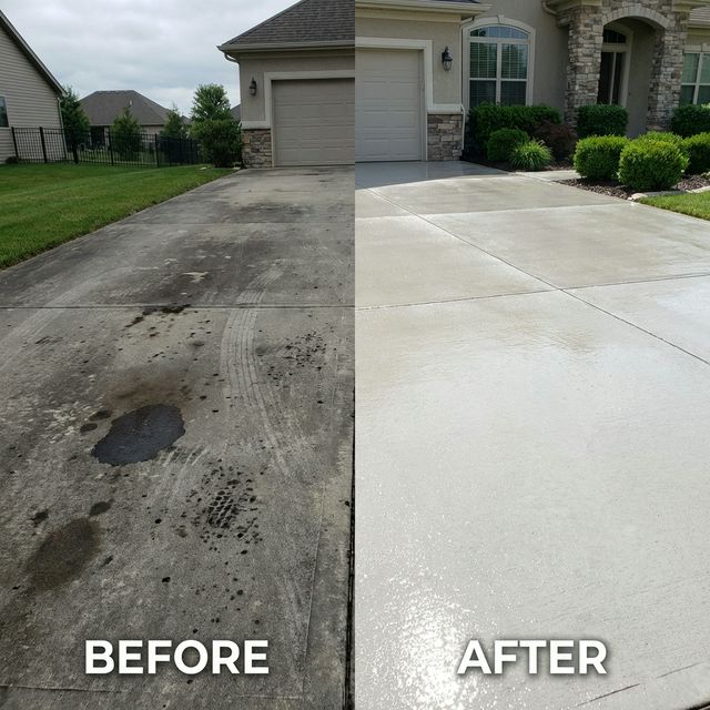 Driveway Cleaning Results