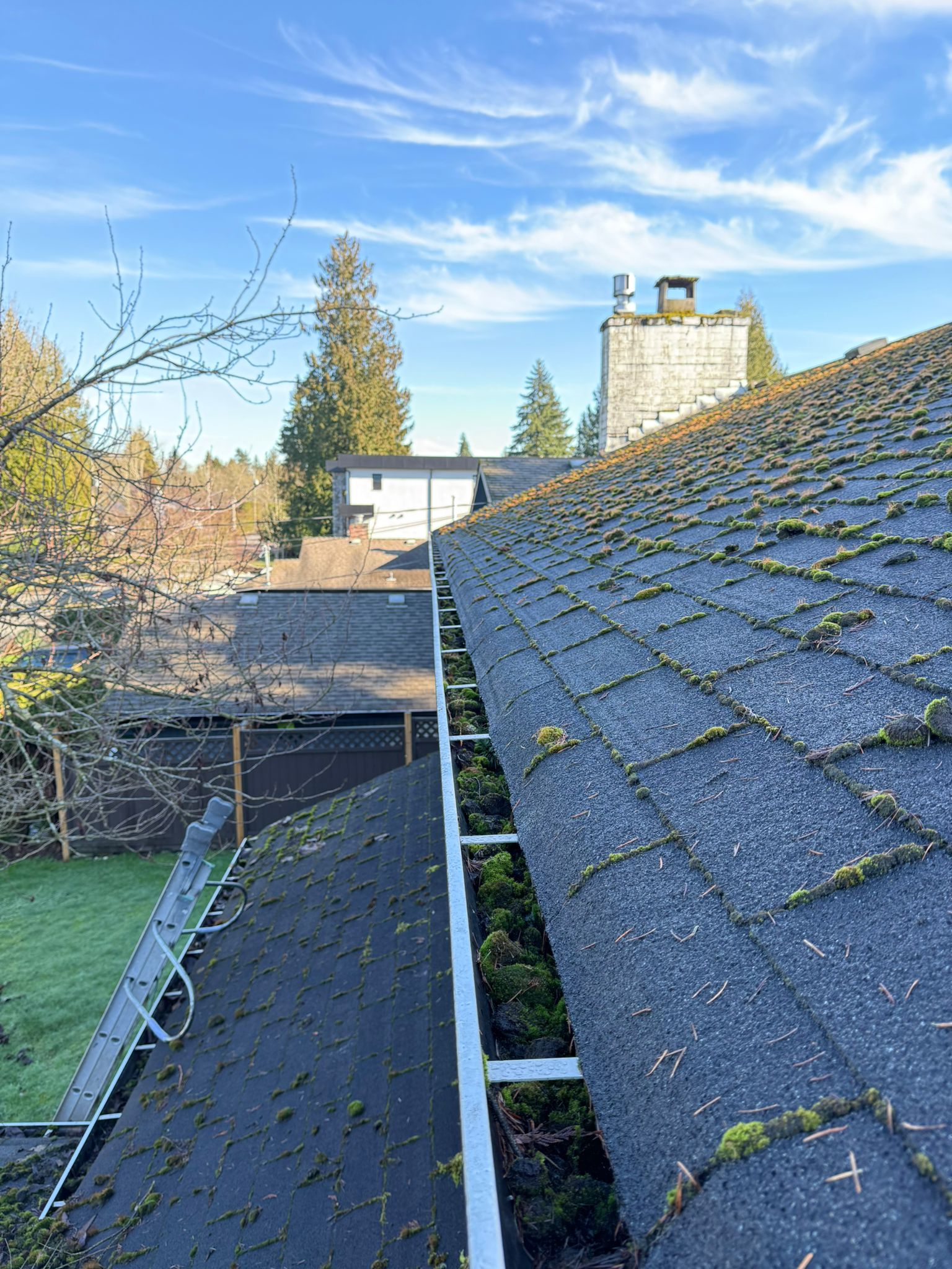 Before Gutter Cleaning