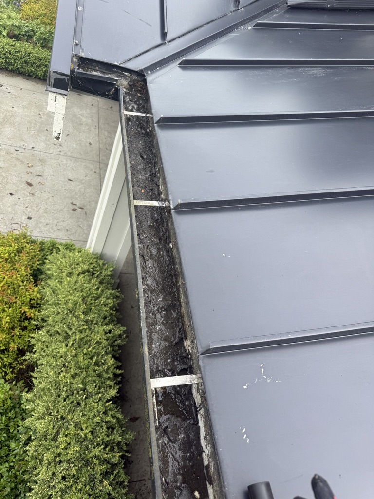 Before House Washing