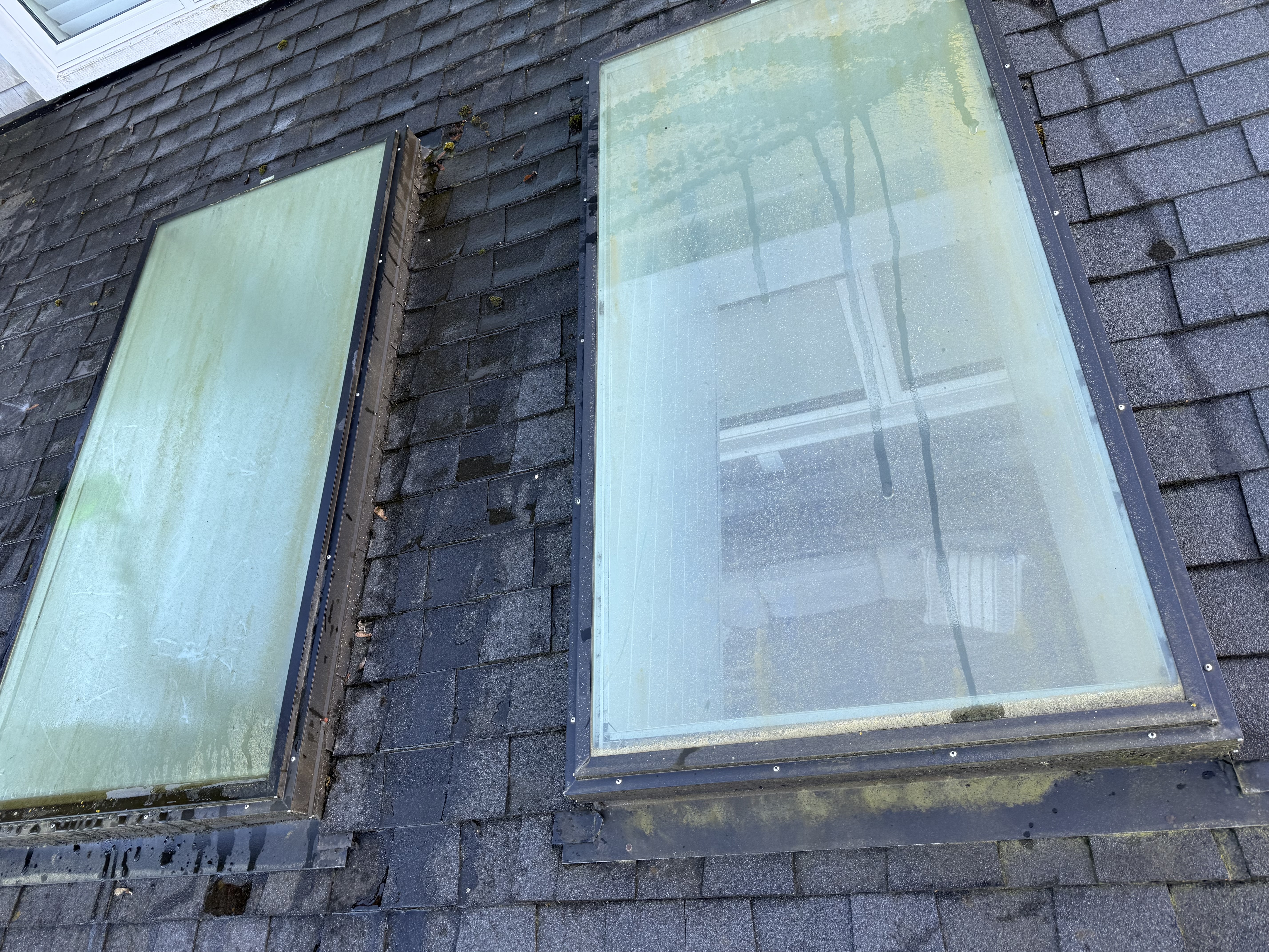 Before House Washing