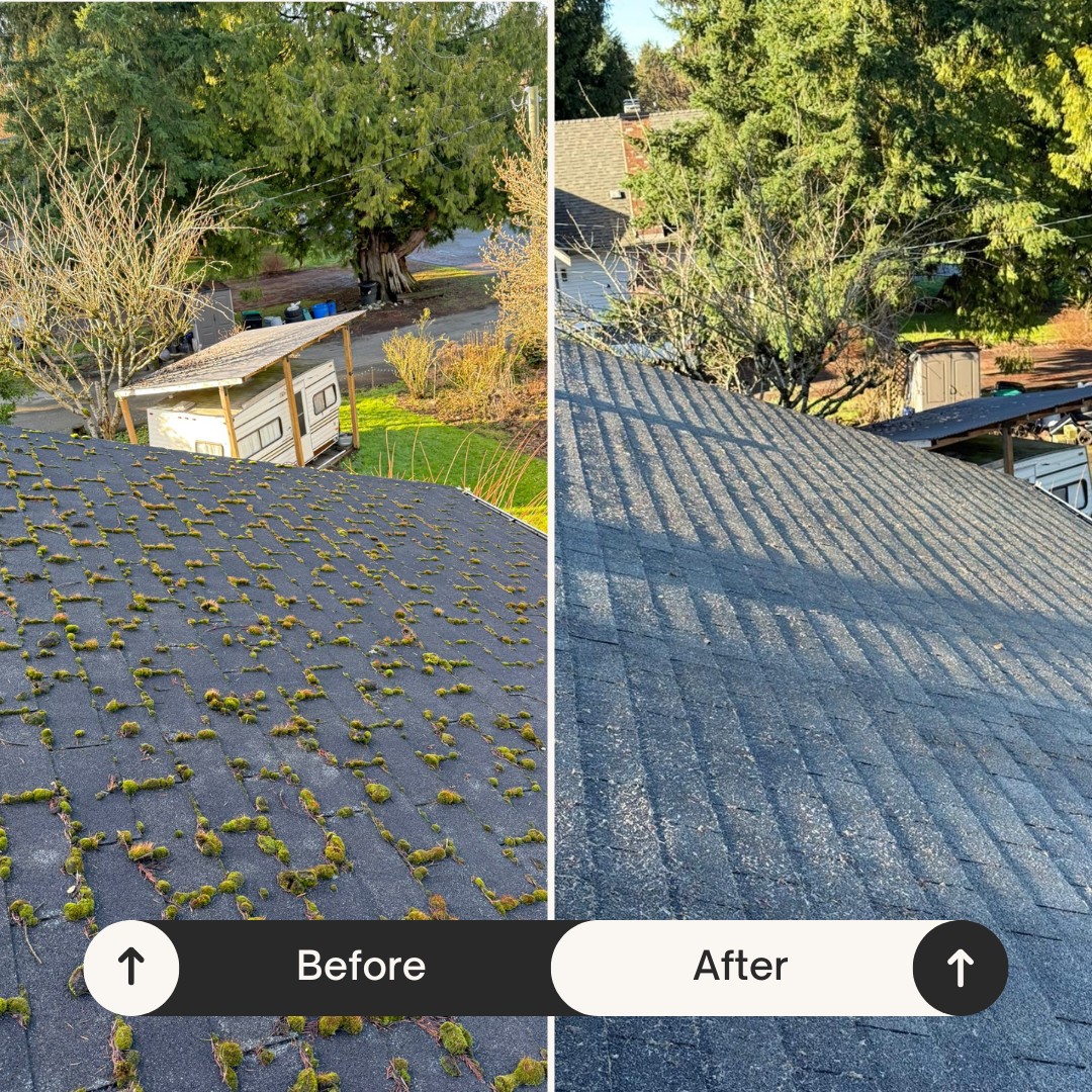 Power and Pressure Washing